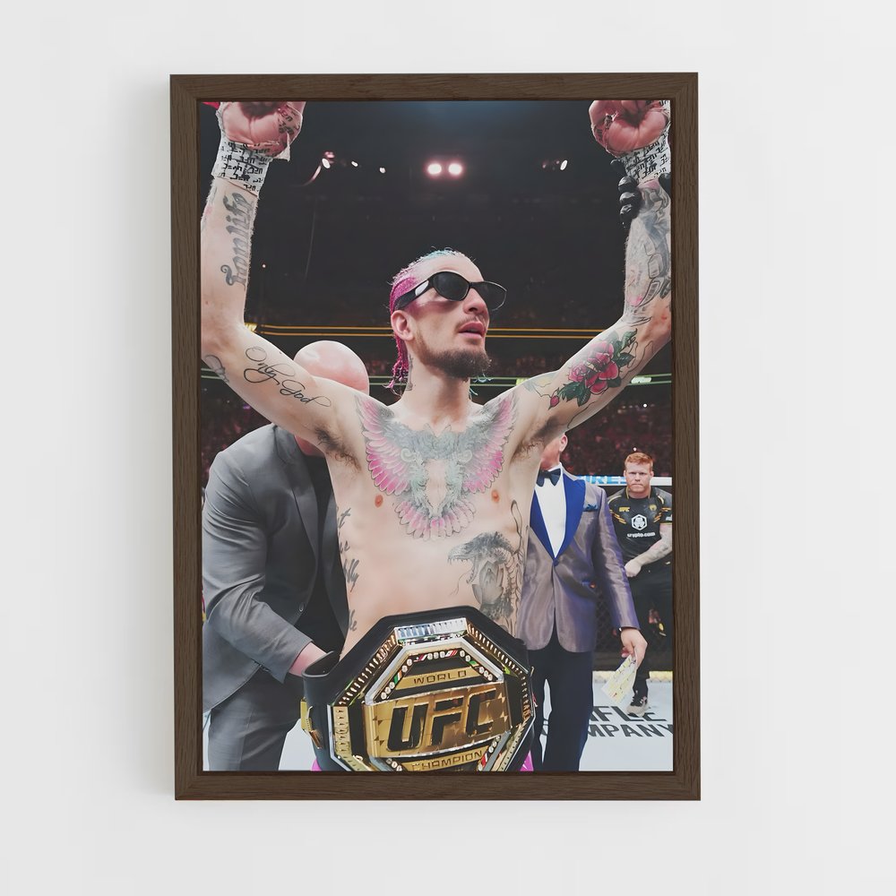 Poster Pink Ink – affiche MMA (vue 5)